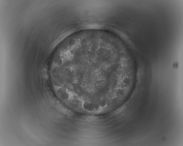 X0000112161209200909041118