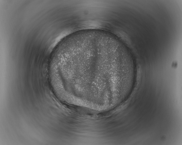 X0000112161210200909041118