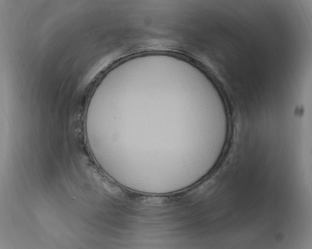 X0000112161211200909041118