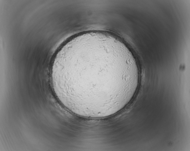 X0000112161212200909041118