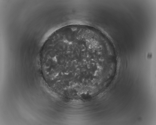 X0000112161215200909041119