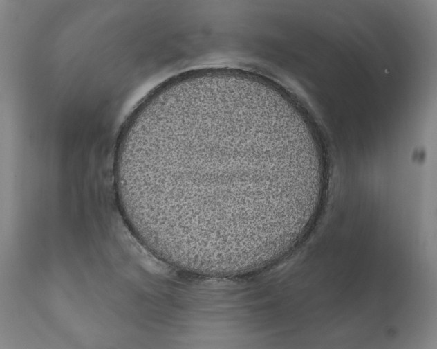 X0000112161216200909041119