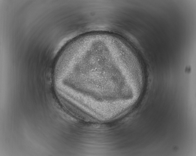 X0000112161218200909041119