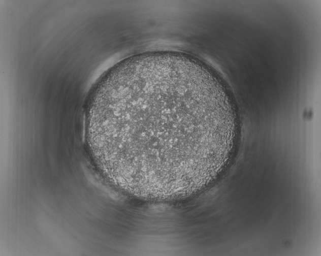 X0000112161219200909041119