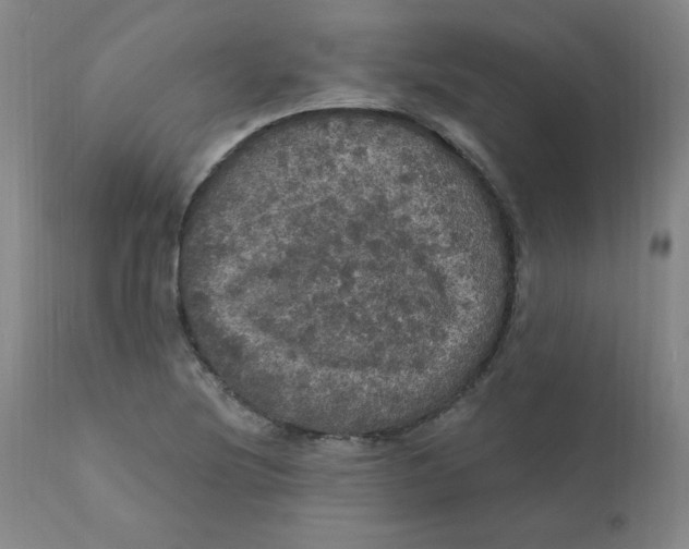 X0000112161220200909041119