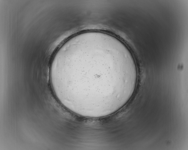 X0000112161221200909041119