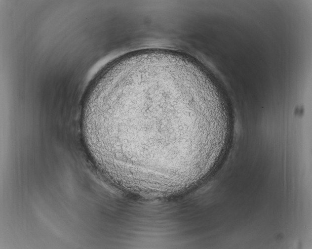 X0000112161222200909041119