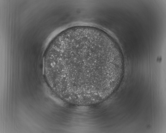 X0000112161223200909041119