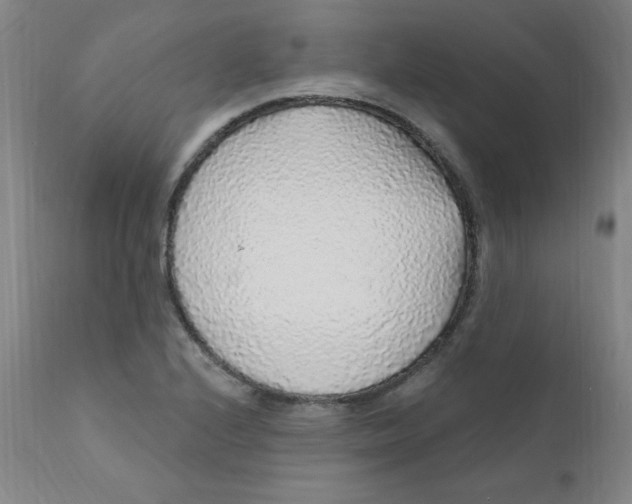 X0000112161224200909041119