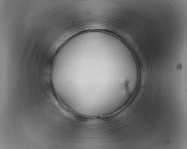 X0000112161225200909041119