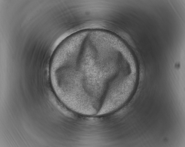 X0000112161226200909041119