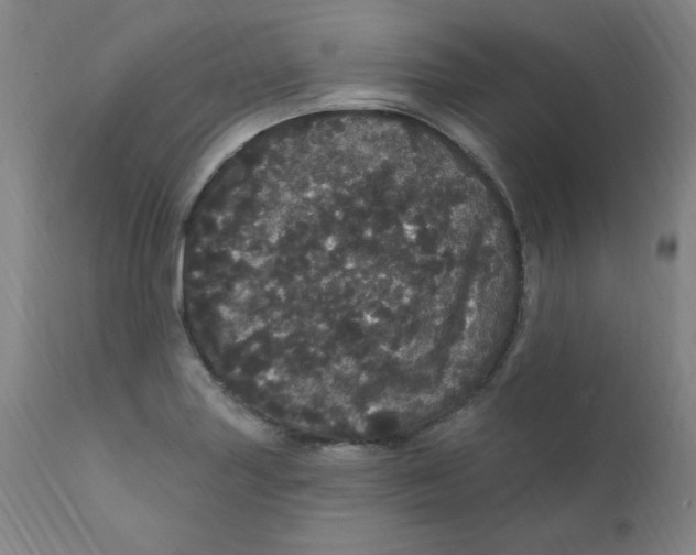 X0000112161227200909041119