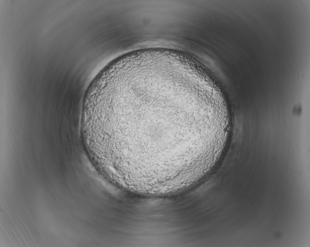 X0000112161228200909041119