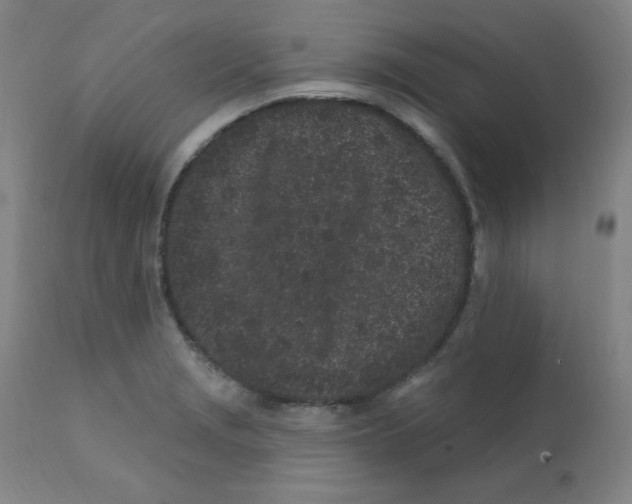 X0000112161229200909041119
