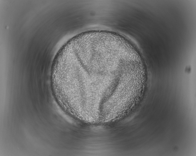 X0000112161231200909041119