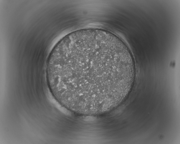X0000112161235200909041119