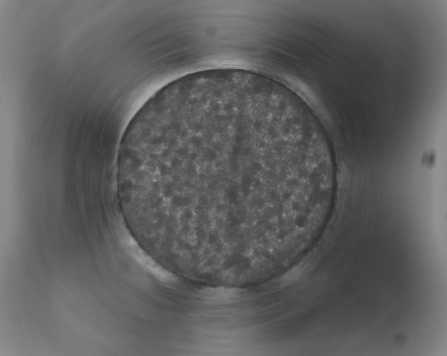X0000112161236200909041119