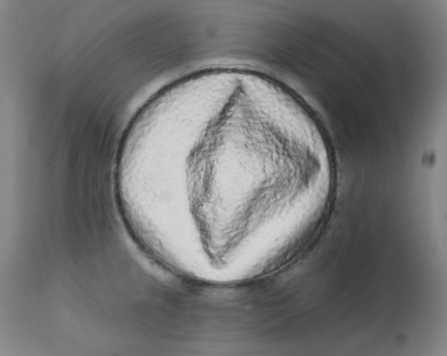 X0000112161237200909041119