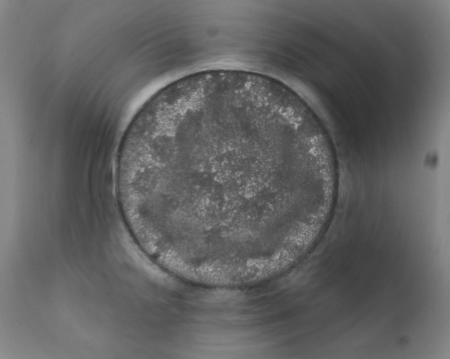 X0000112161238200909041119