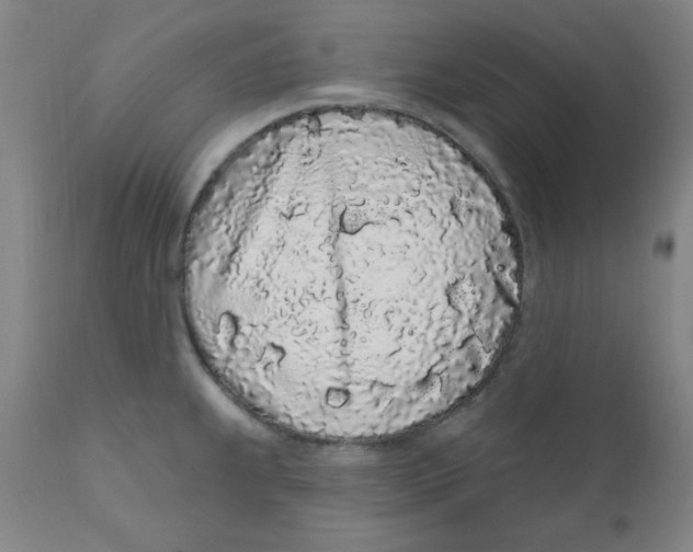 X0000112161239200909041119