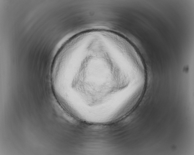 X0000112161240200909041119
