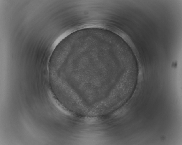 X0000112161242200909041119