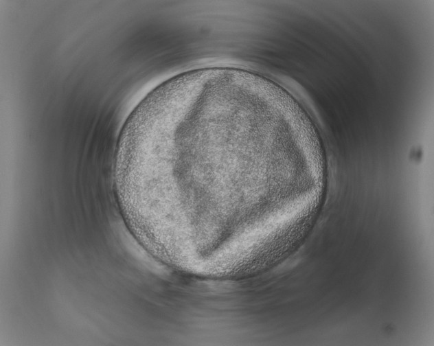 X0000112161244200909041119