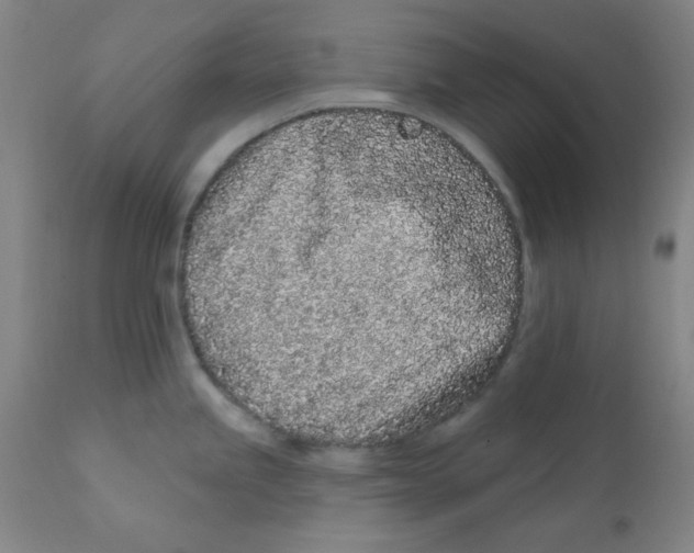 X0000112161245200909041119