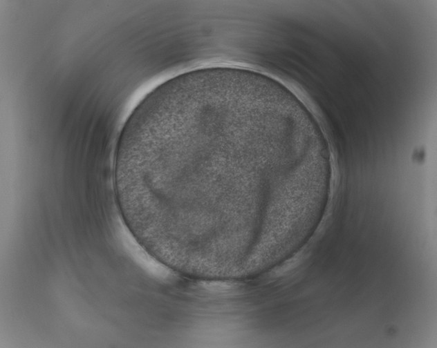 X0000112161246200909041119