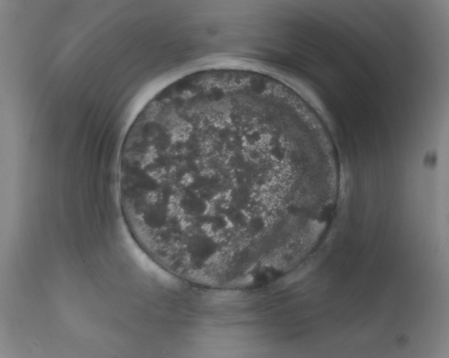 X0000112161247200909041119
