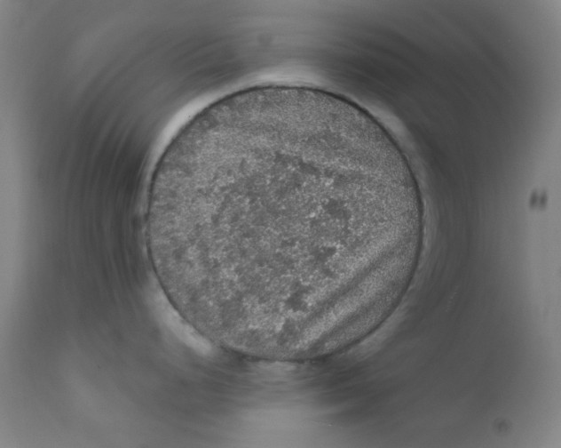 X0000112161248200909041119
