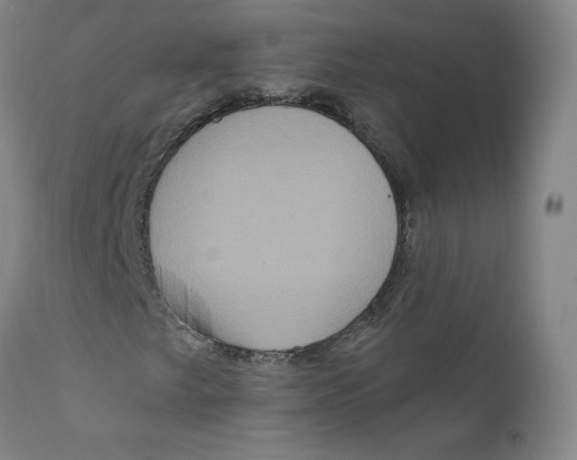 X0000112161249200909041118