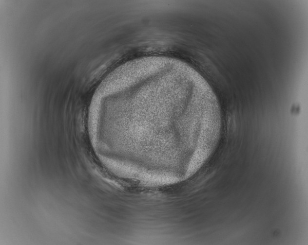 X0000112161250200909041118