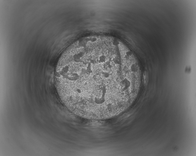 X0000112161251200909041118
