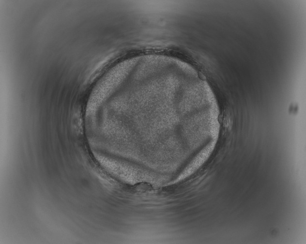 X0000112161252200909041118