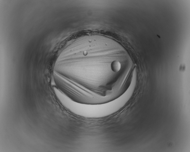 X0000112161253200909041118