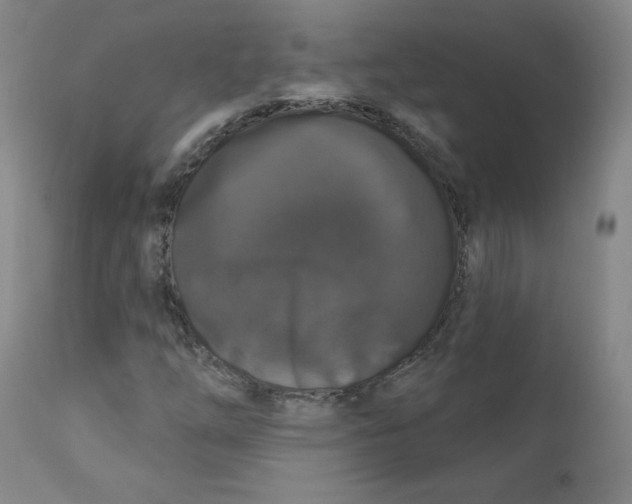 X0000112161254200909041118