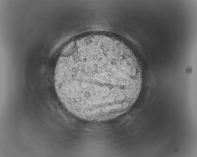X0000112161255200909041118