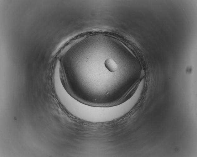 X0000112161256200909041118