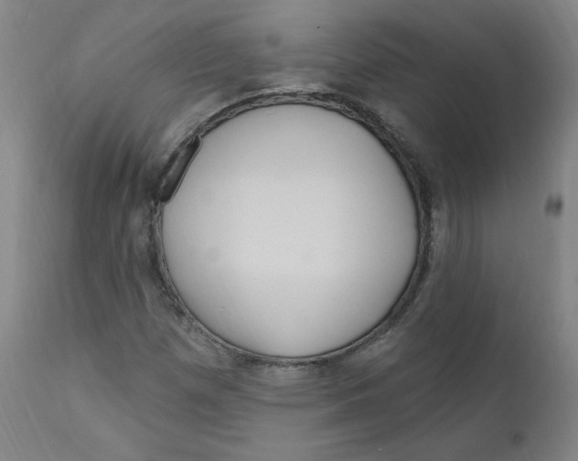 X0000112161257200909041118