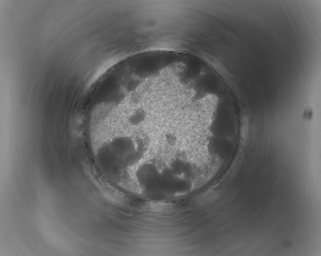 X0000112161258200909041118