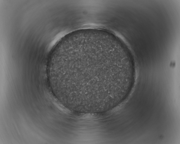X0000112161259200909041118