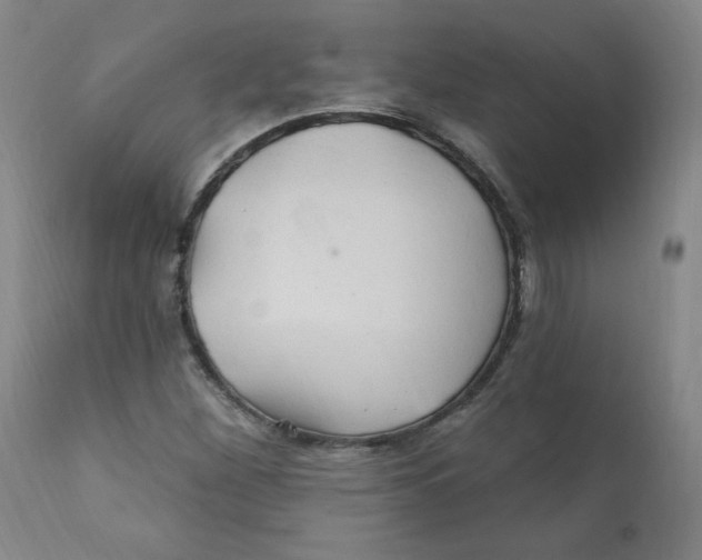 X0000112161260200909041118