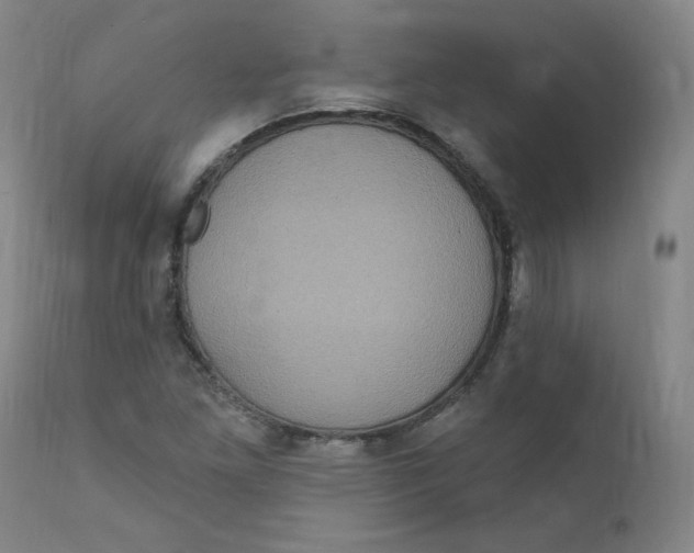 X0000112161261200909041118