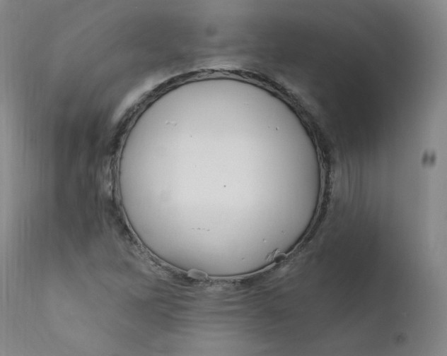 X0000112161262200909041118