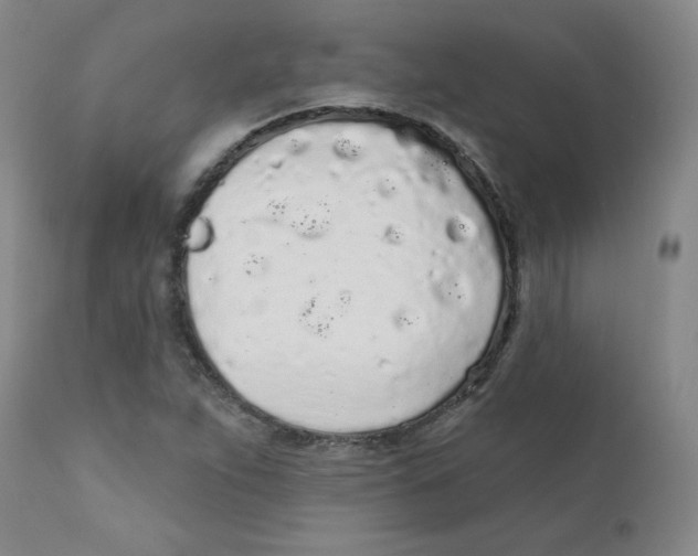 X0000112161263200909041118