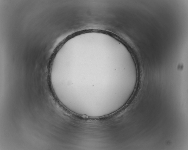 X0000112161264200909041118
