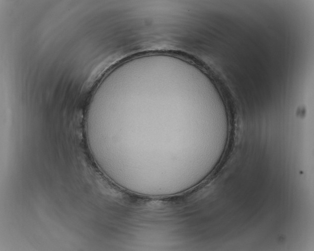 X0000112161265200909041118