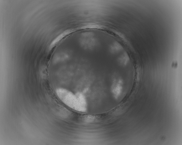 X0000112161266200909041118