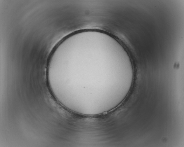 X0000112161268200909041118